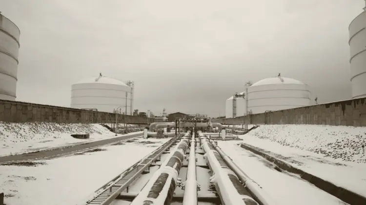 Foto ilustrativa (Especial / EXPRESO)