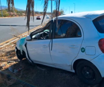 Pierde el control del vehículo y se estrella contra palmera