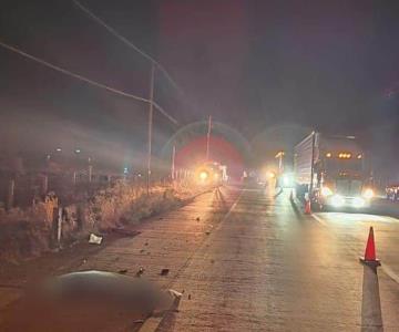 Persona de la tercera edad es arrollada en carretera Ímuris-Nogales