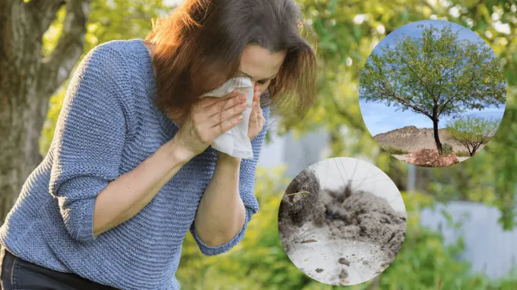 Cada región tiene sus propios causantes de alergias. (Foto: Ilustrativa)