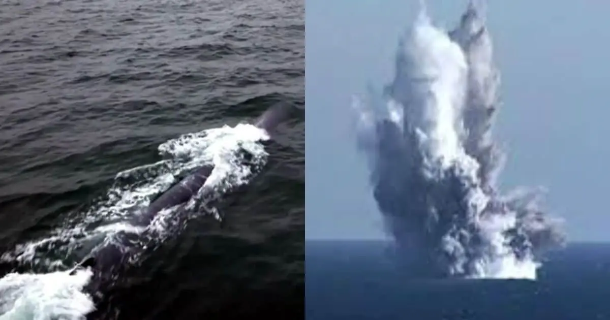 Corea del Norte prueba dron capaz de causar tsunamis nucleares