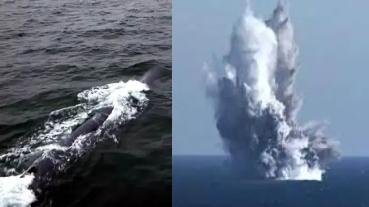 El Haeil-5-23 ha despertado preocupación a nivel internacional. (Foto: Especial/EXPRESO)