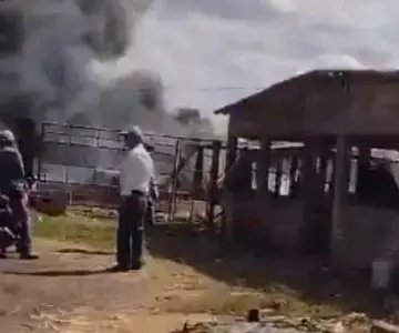 Avioneta se desploma antes de aterrizar en Tepic; hay 4 muertos