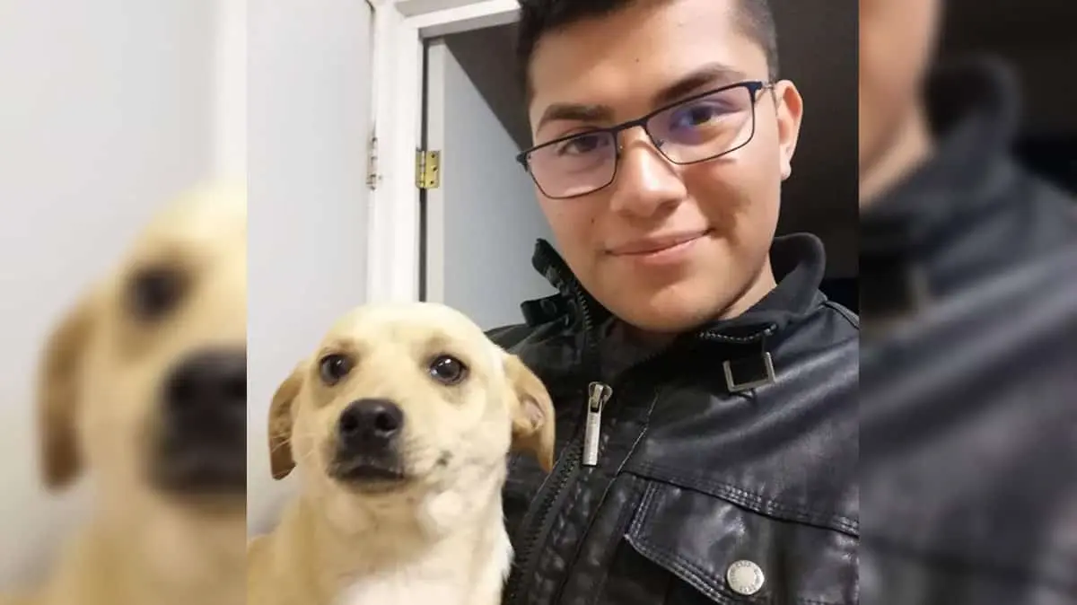 Joven nogalense salió a buscar trabajo y ya no regresó