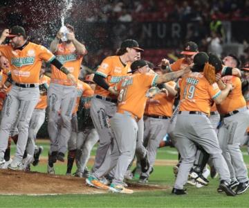 Negocios locales se unen a la celebración de Naranjeros