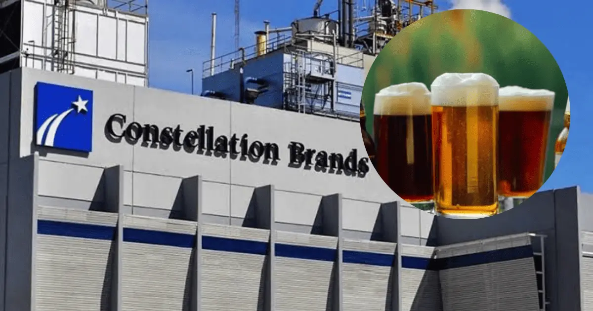 Sonorenses elaboran cerveza más vendida en EU