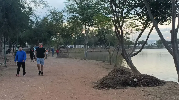 Foto: Especial / EXPRESO.