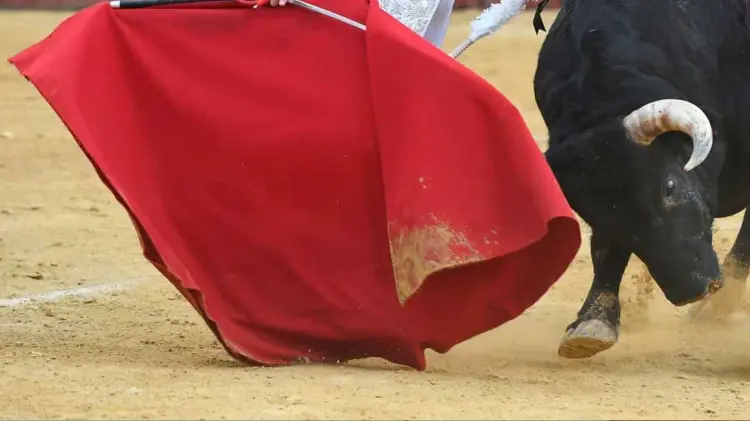 Foto: Especial / EXPRESO.