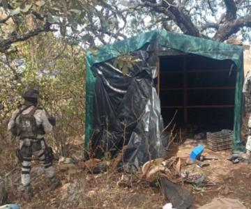 Aseguran 11 explosivos en un  campamento clandestino en Jalisco