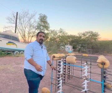 Crean jaula artesanal para proteger a pescadores de tiburones en Guaymas