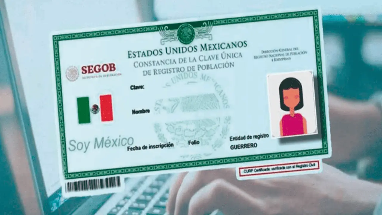 Usuarios reportan fallas en búsqueda y descarga de CURP