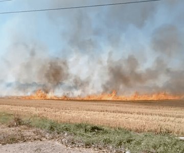 Se reduce 18.89% incendios por quemas agropecuarias en México