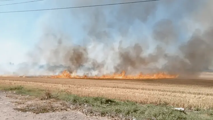 A la baja los incendios en el sector agropecuario. (Foto: Especial / EXPRESO)