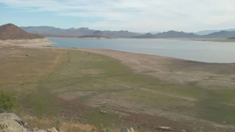 Foto: Especial / EXPRESO.