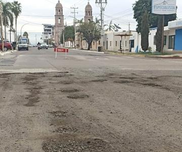 Brotan baches en Navojoa tras las recientes lluvias