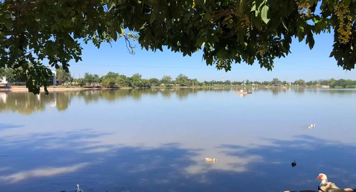 Proyecto de rehabilitación de Laguna del Náinari está cerca de concretarse
