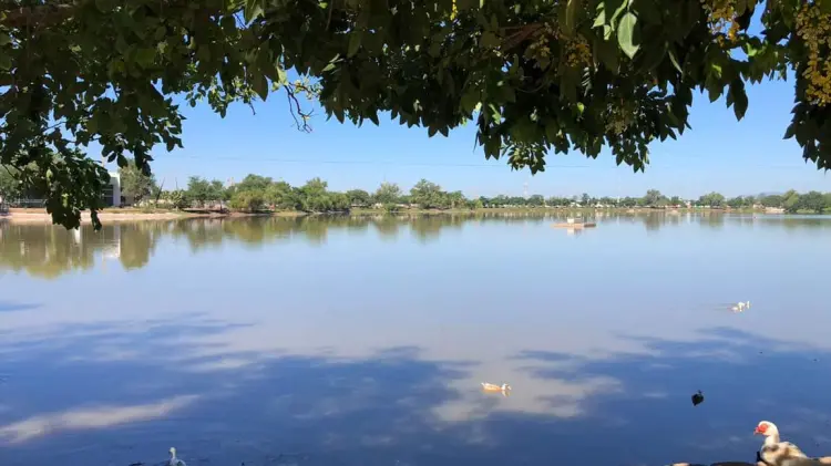 Foto: Especial / EXPRESO.