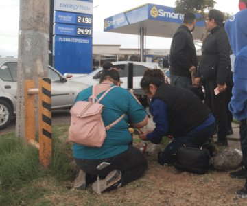 Claman justicia para Panchito; responsable de su muerte sigue prófugo