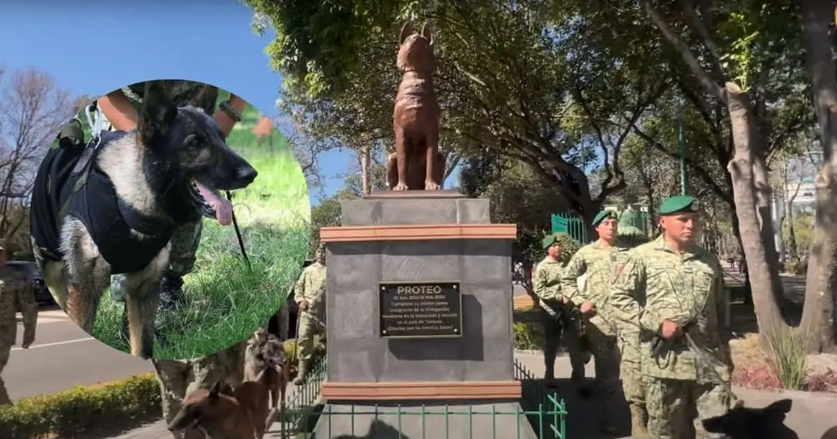 A un año de su muerte, Sedena recuerda a Proteo, perro rescatista