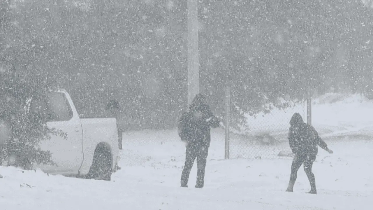 Séptima tormenta invernal deja saldo blanco en Sonora