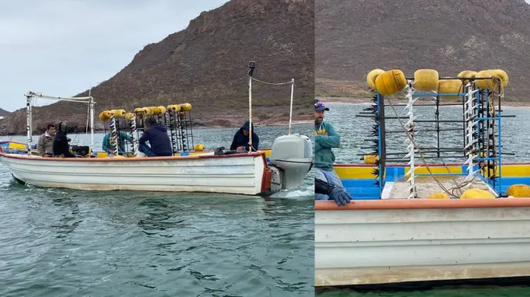 La jaula fue sometida a rigurosas pruebas en alta mar. (Fotos: Especial/EXPRESO)
