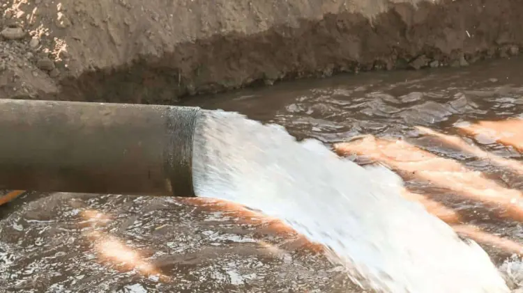 Foto: Especial / EXPRESO.