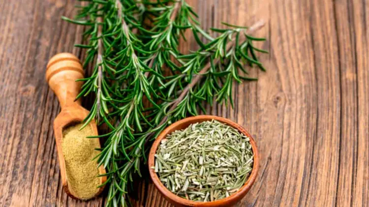 Romero. (Especial / EXPRESO)