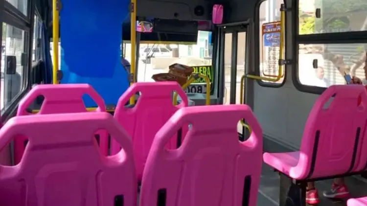 Asientos rosas de la CDMX. (Foto: Especial/Expreso)