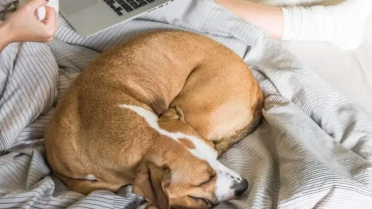 Existen diferentes beneficios que puede tener este acto (Foto:Especial/Expreso)