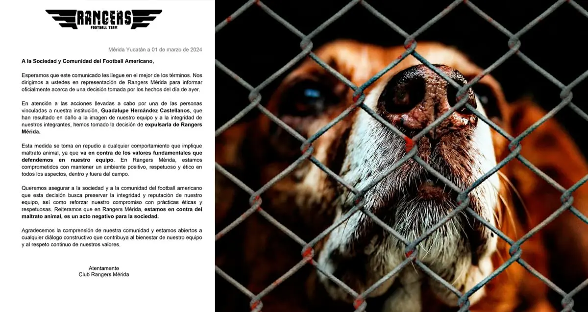 Dejó morir de hambre y sed a su perro; fue expulsada de su equipo de futbol