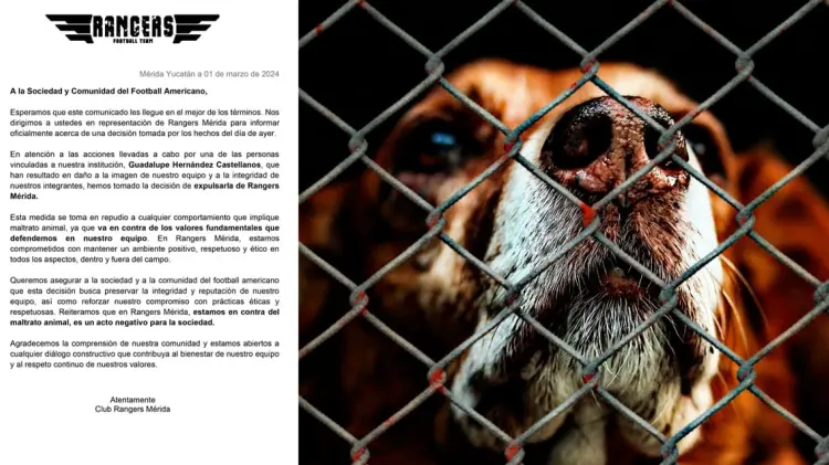 Vecinos reportaron que no sería la primera vez que sucede. (Especial / EXPRESO)