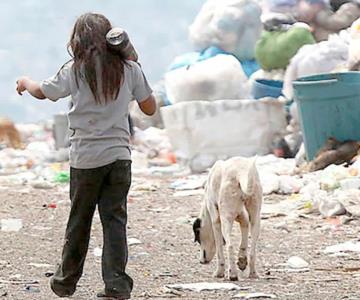 Se reduce la pobreza laboral en Sonora: Coneval