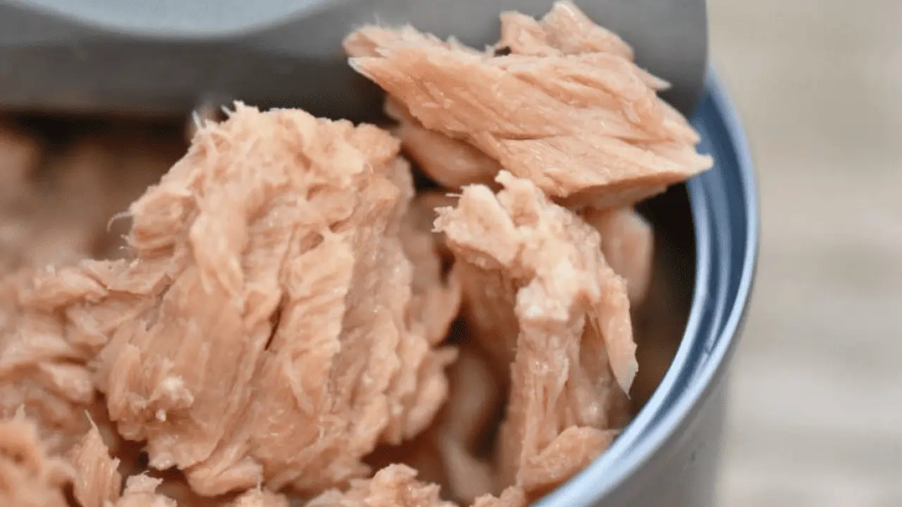 Estas son las mejores marcas de atún enlatado que no contiene soya: Profeco