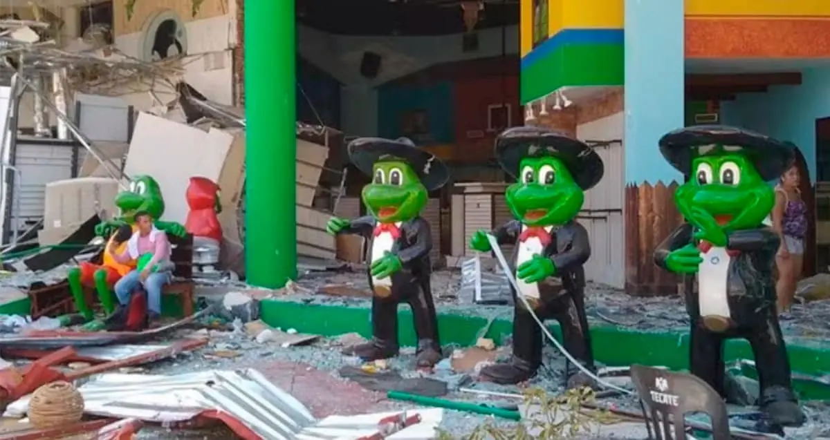 Encuentran en Neza ranas de Señor Frogs desaparecidas en Acapulco