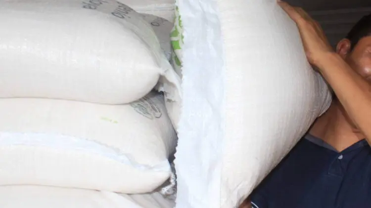 Foto: Especial / EXPRESO.