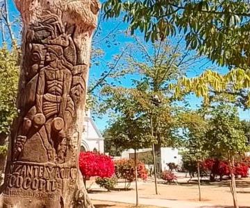 Retirarán árbol con escultura del Danzante Yaqui