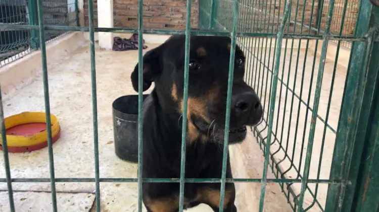 Foto: Especial / EXPRESO