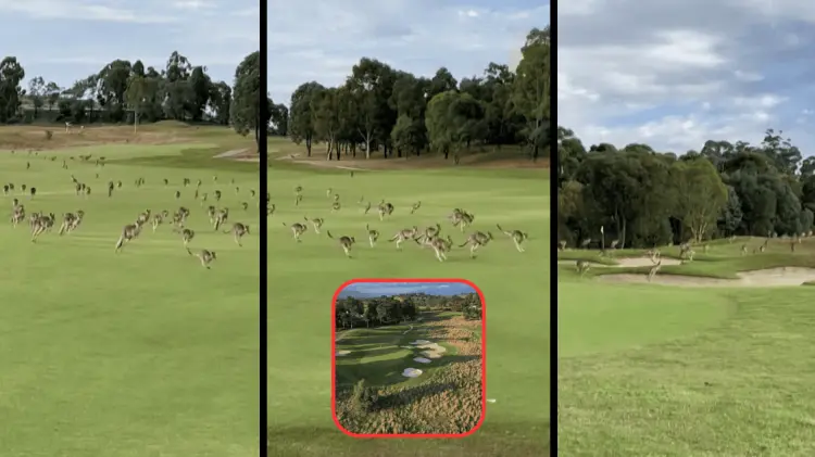 El video tiene como origen Australia el pasado miercoles 6 de marzo. (Foto: Capturas de pantalla)