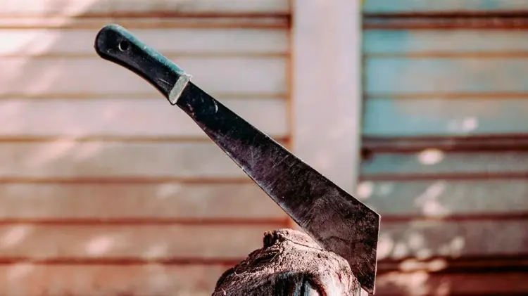 Los hechos se registraron cerca de las 10:00 AM. (Especial / EXPRESO)