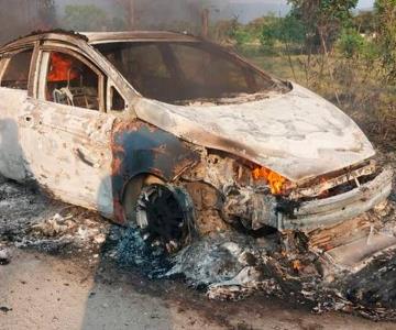 Encuentran 5 cadáveres y restos óseos en carretera