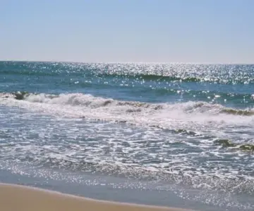Alertan por presencia masiva de mantarrayas en playa Huatabampito