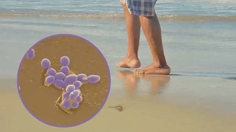 Cada año la Cofepris evalúa la calidad del agua de mar en los 17 estados costero. (Foto: Especial).