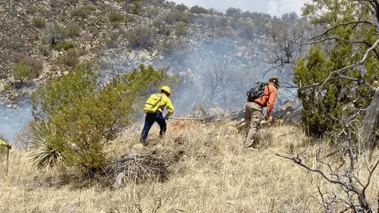 Se han registrado 667 incendios forestales en México en lo que va del año. (Foto: Especial/EXPRESO)