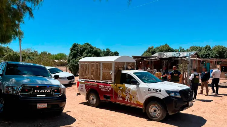 Los padres entregaron al menor ante la Fiscalía. (Especial / EXPRESO)