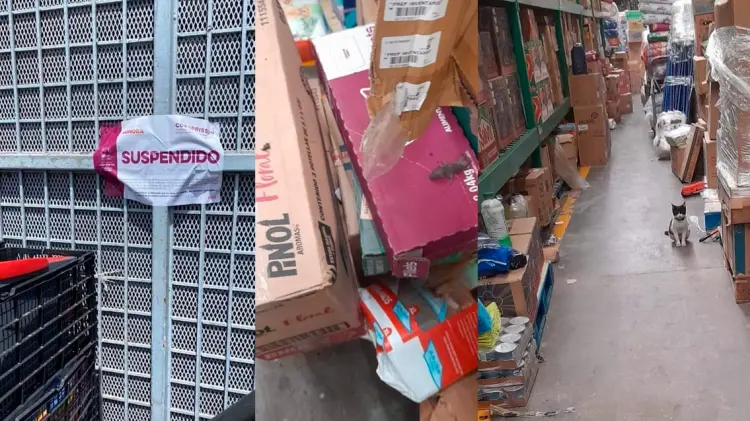 En el área de almacén había excremento de fauna nociva. (Fotos: Cortesía)