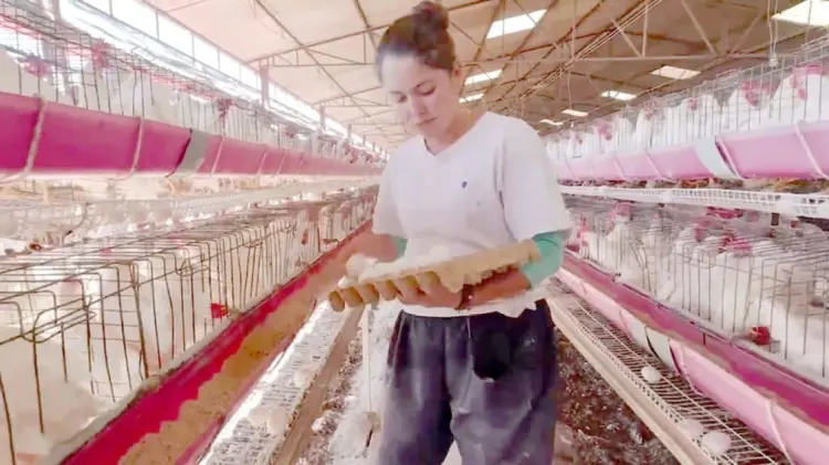 El valor de producción rebasa los mil millones de pesos en Sonora. (Foto: Especial/EXPRESO)