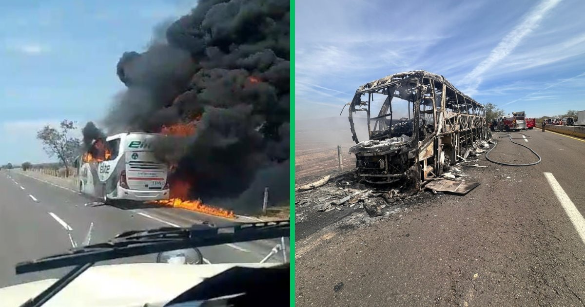 Mueren calcinadas 4 personas en accidente de autobús con rumbo a Hermosillo