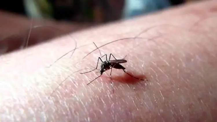 A escala nacional se registran 10 mil 291 casos confirmados. (Especial / EXPRESO)