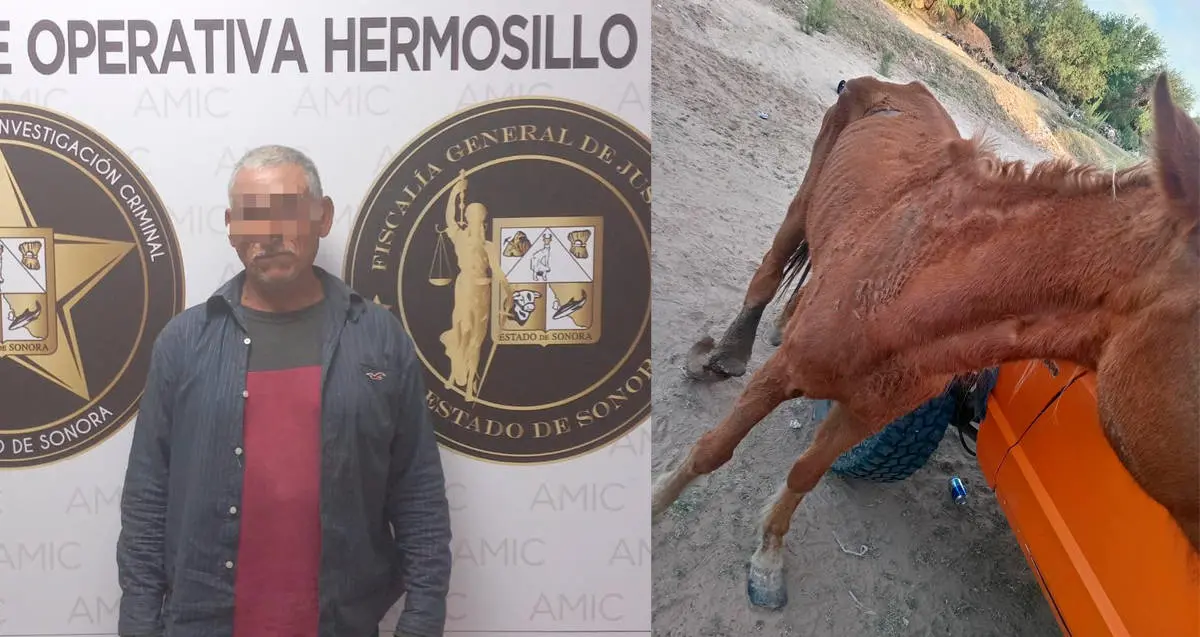 Rescatan a yegua de maltrato animal y detienen al presunto responsable