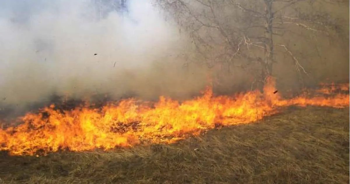 Protección Civil Guaymas se prepara ante temporada de incendios forestales